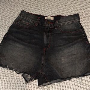 BDG Dark Wash Denim Cutoff Shorts